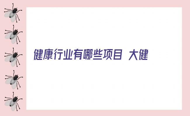 健康行业有哪些项目 大健康产业有哪些好的加盟项目