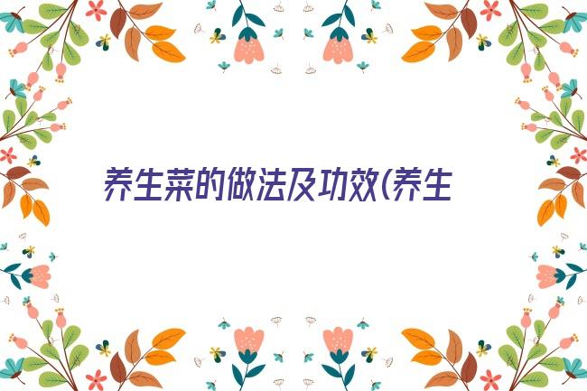 养生菜的做法及功效(养生菜是什么菜)