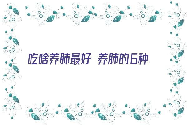 吃啥养肺最好 养肺的6种食物 让你的肺清爽起来