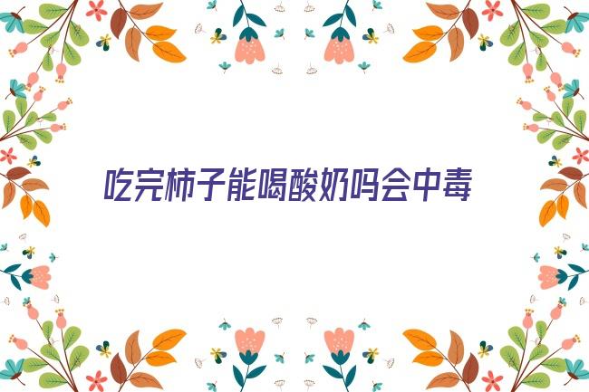 吃完柿子能喝酸奶吗会中毒吗(吃完橙子能喝酸奶吗)